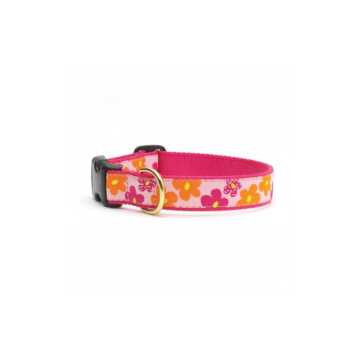 Up Country Animal Collar, Medium, Multicolor