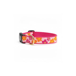 Up Country Animal Collar