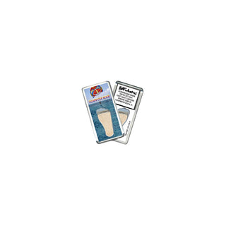 FootWhere Decorative Magnet
