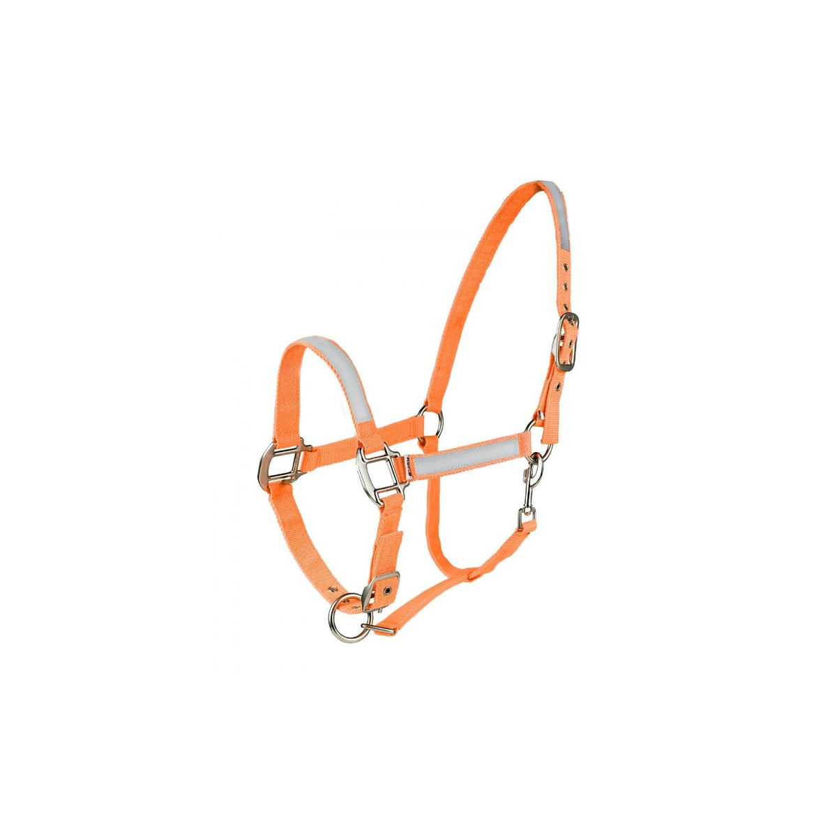 HORZE Pet Supplies, Cob, Orange