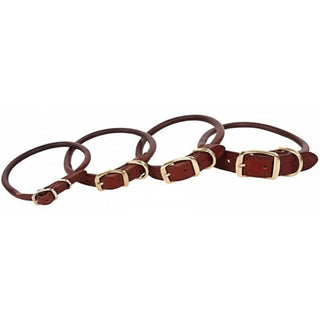 Omni Pet Animal Collar