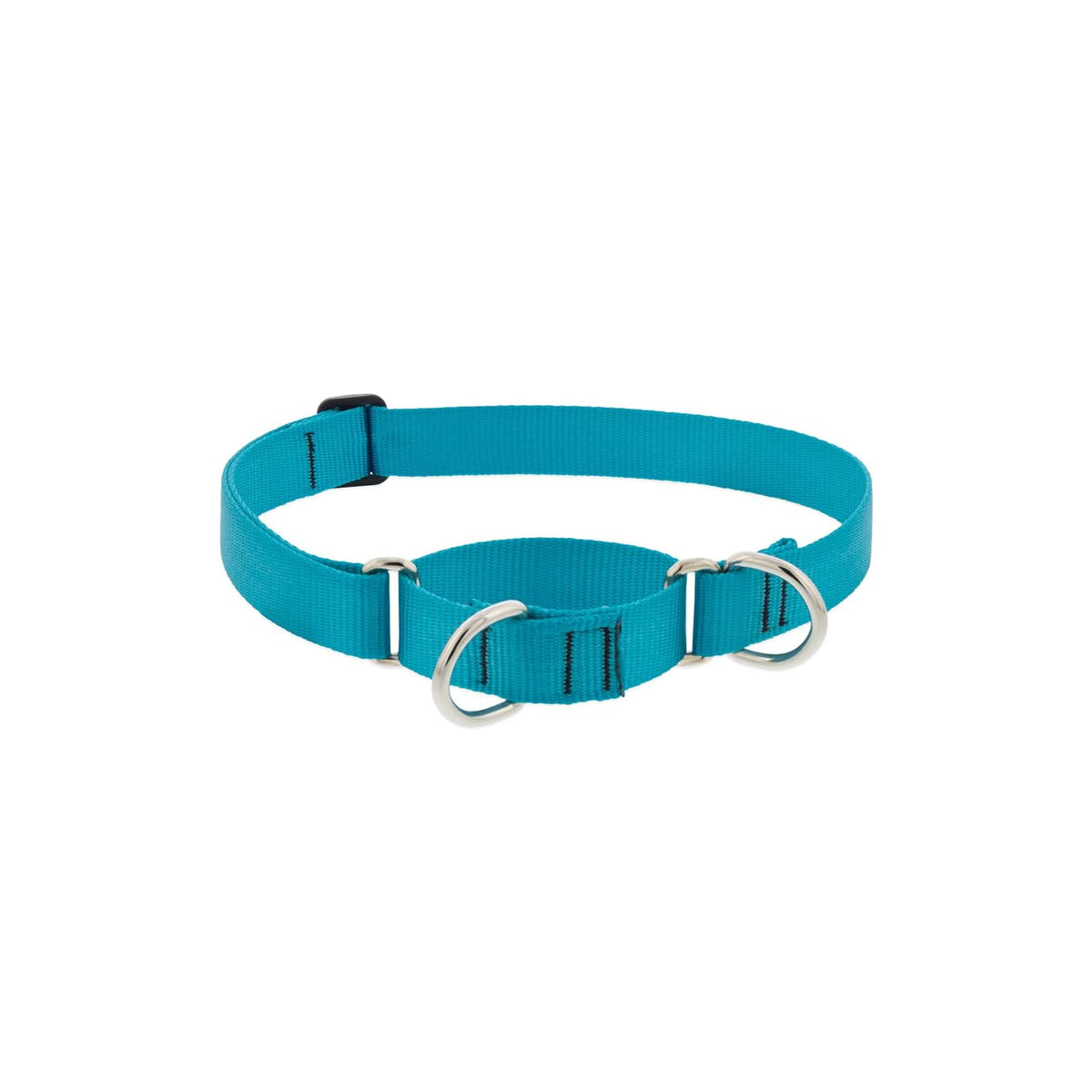 LupinePet Animal Collar, 1" wide; adjusts 19"-27", Aqua