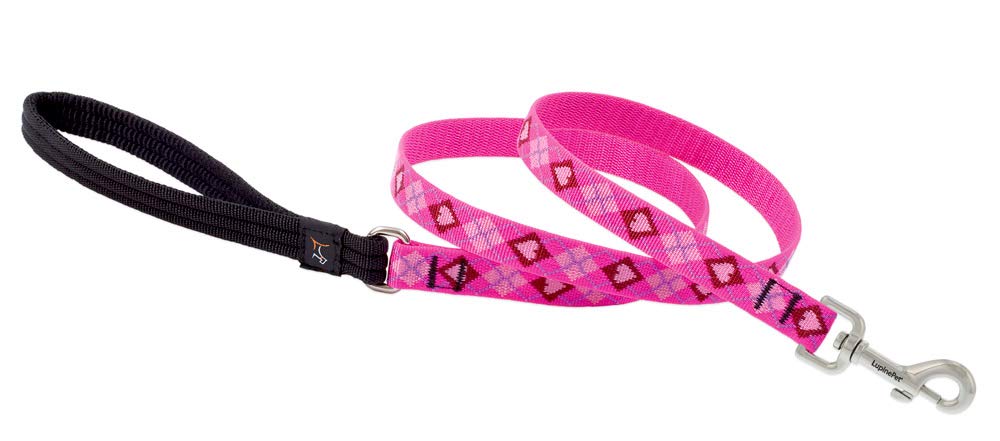 Lupine Pet Originals 3/4" Puppy Love 4-Foot Padded Handle Leash for Medium and Larger Dogs