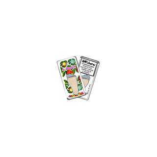 FootWhere Decorative Magnet, Small, Stm203 - Hibiscus