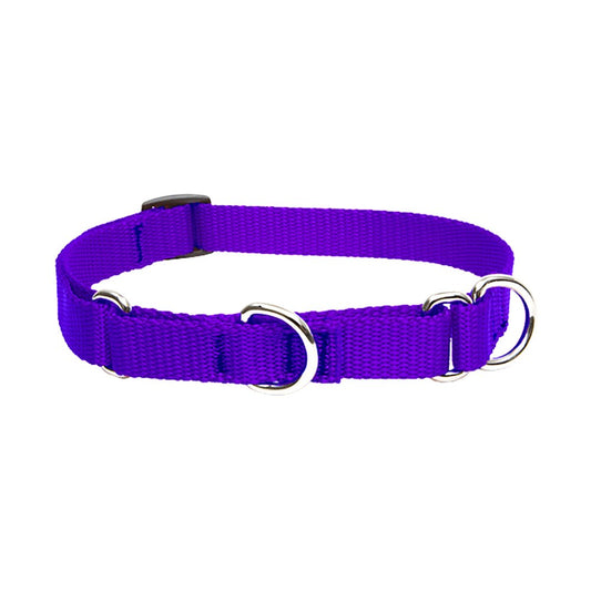 Lupine Pet Basics 3/4" Purple 14-20" Martingale Collar for Medium and Larger Dogs