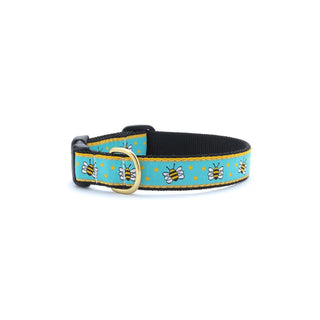 Up Country Animal Collar, yth xl, Blue, yellow, white