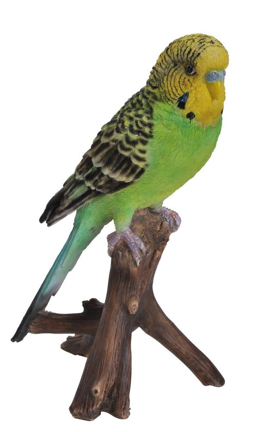 Hi Line Gift Ltd Budgie on Branch Statue