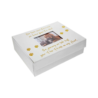 Pavilion Gift Company Storage Box, 11", White, Gold