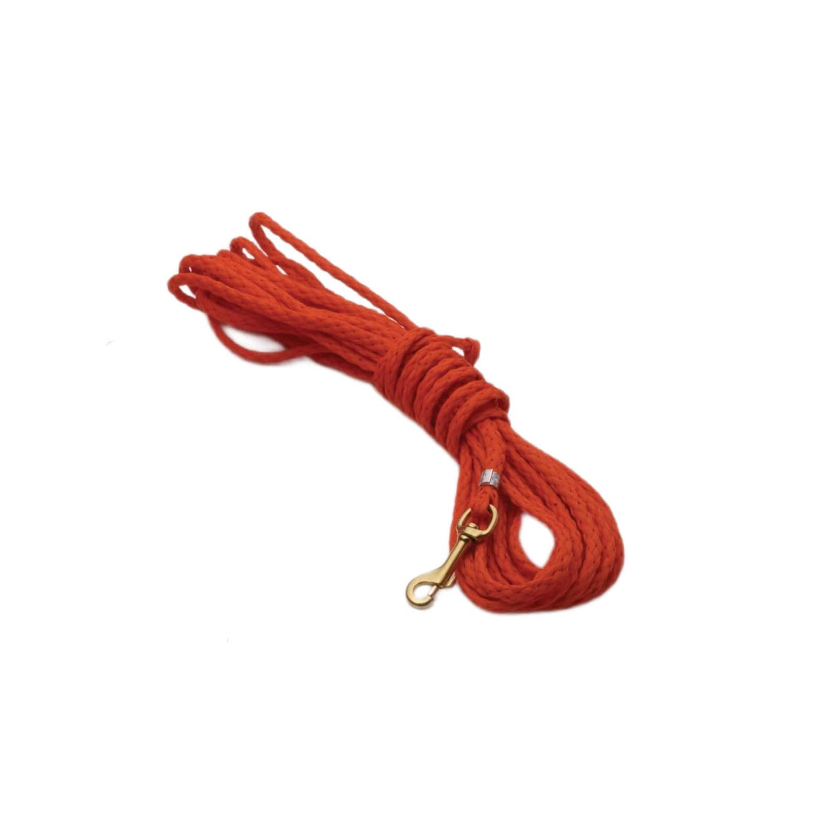 Dokken Animal Collar, Orange