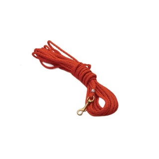 Dokken Animal Collar, Orange
