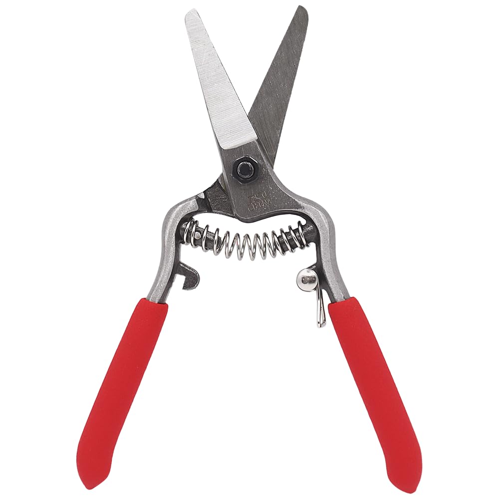 Zenport Z270 Needlenose Shear, Bonsai and Orchids, Mini 6-Inch Forged Straight Blade