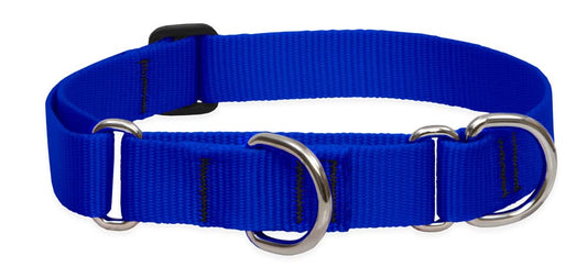 Lupine Pet Basics 1" Blue 19-27" Martingale Collar for Large Dogs
