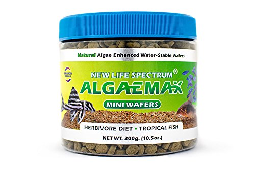 New Life International AlgaeMax Mini-Wafers 300g (Naturox Series)