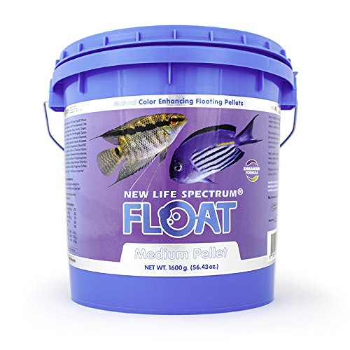 New Life International Float Medium 1600g (Naturox Series)