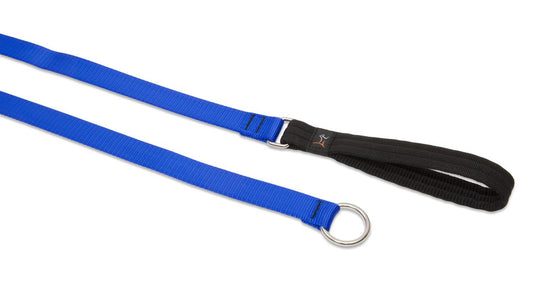 Lupine Pet Basics 1" Blue 6-foot Slip Lead/Leash for Medium and Larger Dogs