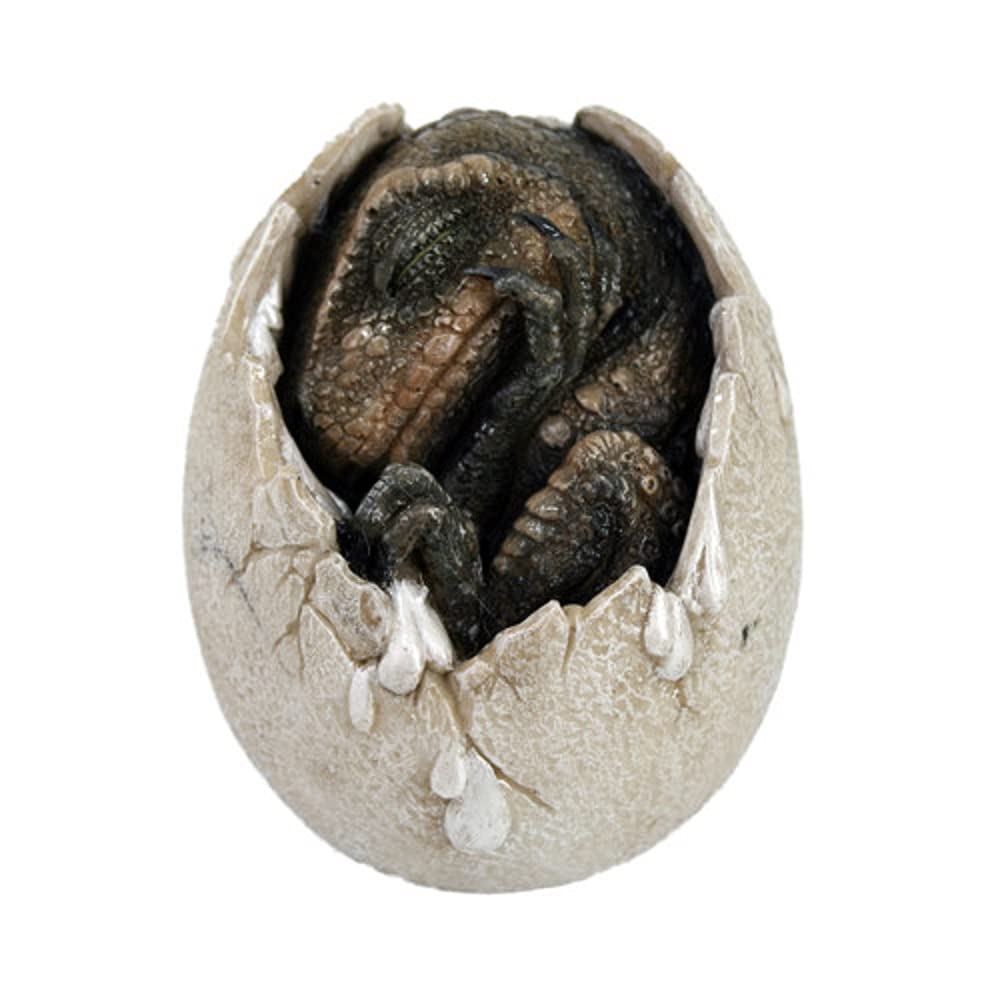 Pacific Trading Jurassic Era Predator Tyrannosaurus Rex in Egg Dinosaur Figurine Hatchling Collectible Sculpture