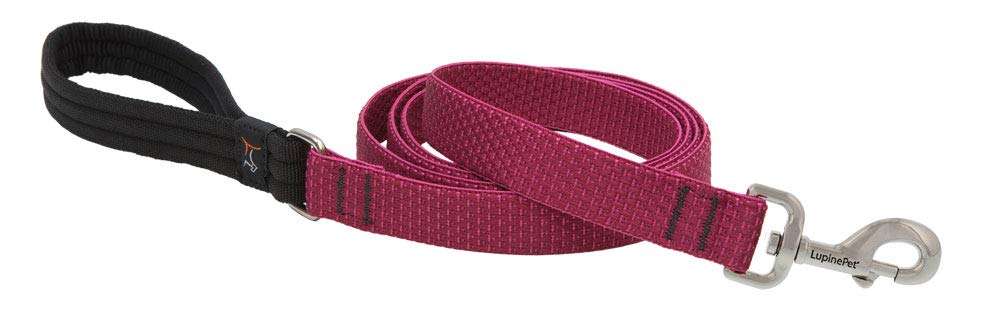 LupinePet Leash, Leash - 1"W; 6-Foot, Berry