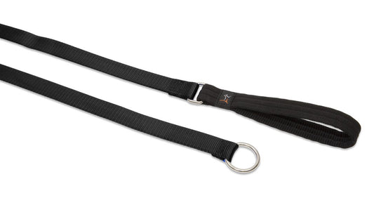 Lupine Pet Basics 1" Black 6-foot Slip Lead/Leash for Medium and Larger Dogs