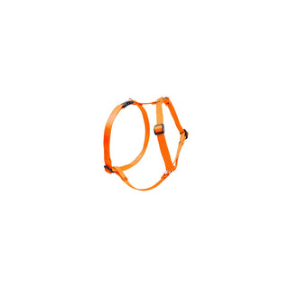 LupinePet Animal Harness, 3/4"W; 12-20" Girth, Blaze Orange