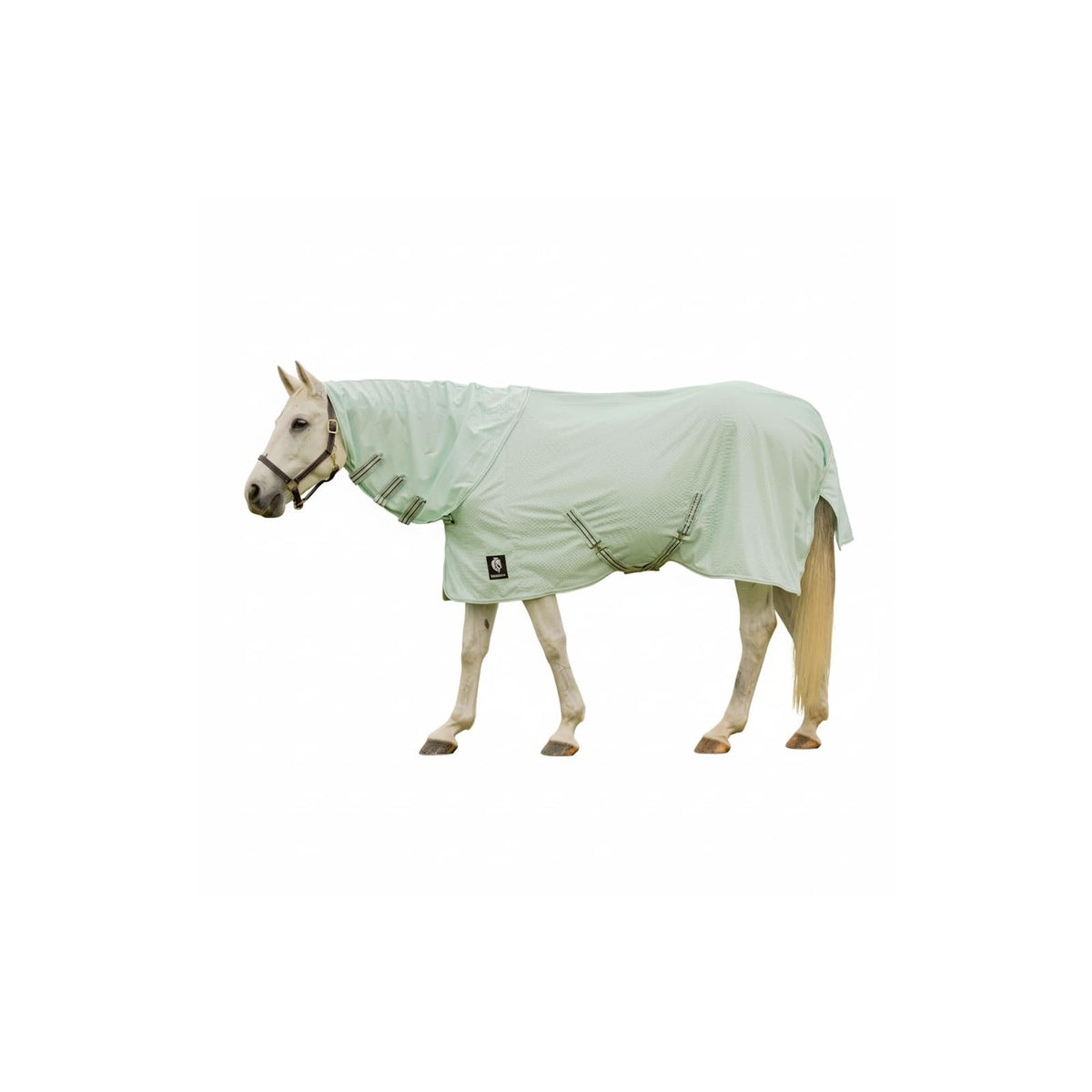 Equinavia Pet Pest Control, 81 in, Misty Jade