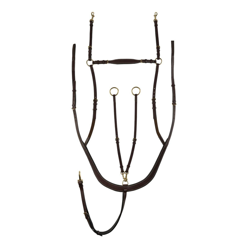 HORZE Belgravia 5-Point Breastplate Martingale with Running Attachment - Dark Brown - Horse