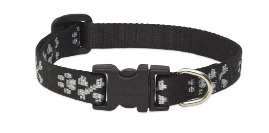 Lupine Pet Originals 1/2" Bling Bonz 8-12" Adjustable Collar for Small Dogs