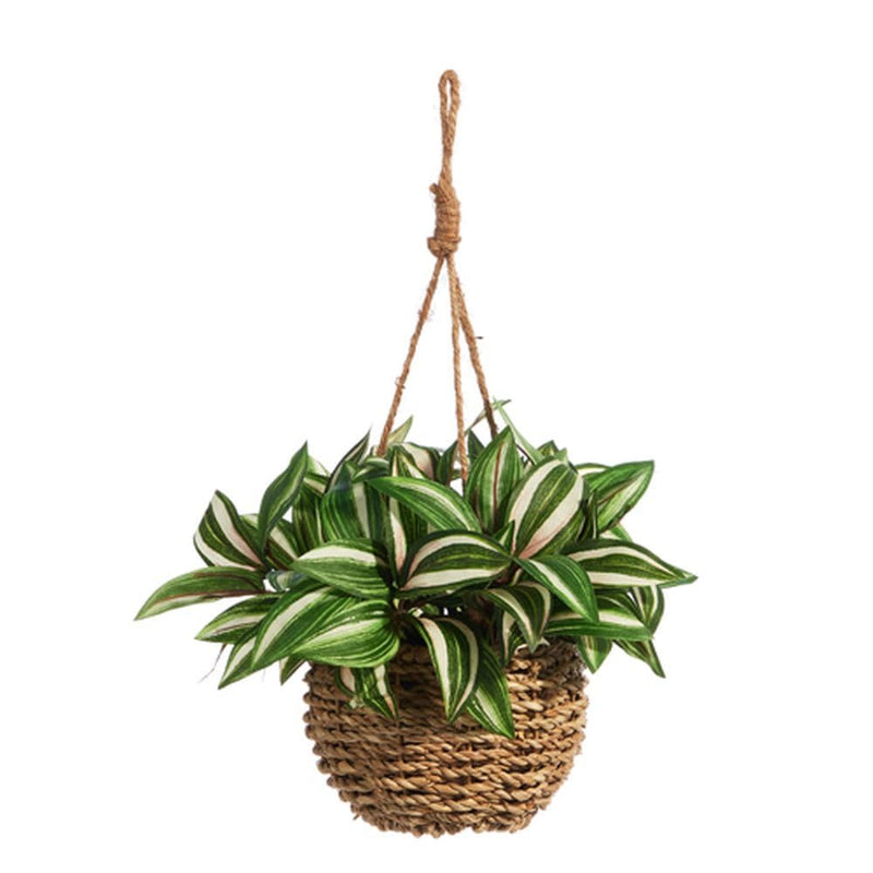 Raz Imports 2024 The Plant Shop 10" Hanging Potted House Plant