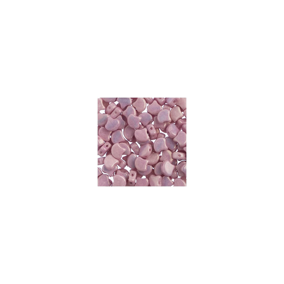 John Bead Craft Bead, Small, White & Green