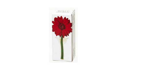 Two's Company Wall Flower, Hanging Bud Vase