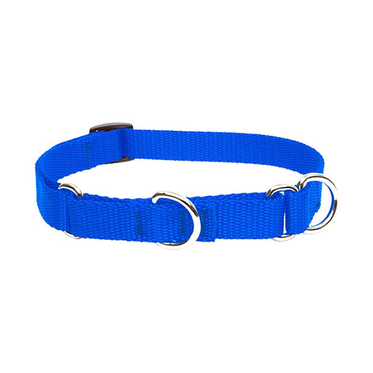 Lupine Pet Basics 3/4" Blue 10-14" Martingale Collar for Small Dogs