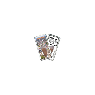 FootWhere Decorative Magnet