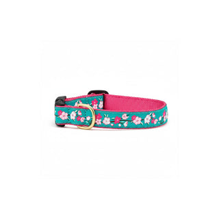 Up Country Animal Collar