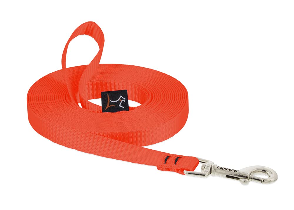 LupinePet Basics 1/2" Blaze Orange 30-Foot Extra-Long Training Leash for Small Dogs