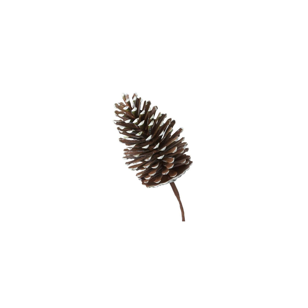 Regency International Artificial Plant, Natural Brown