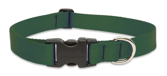 Lupine Pet Basics 1" Green 25-31" Adjustable Collar for Extra Large Dogs