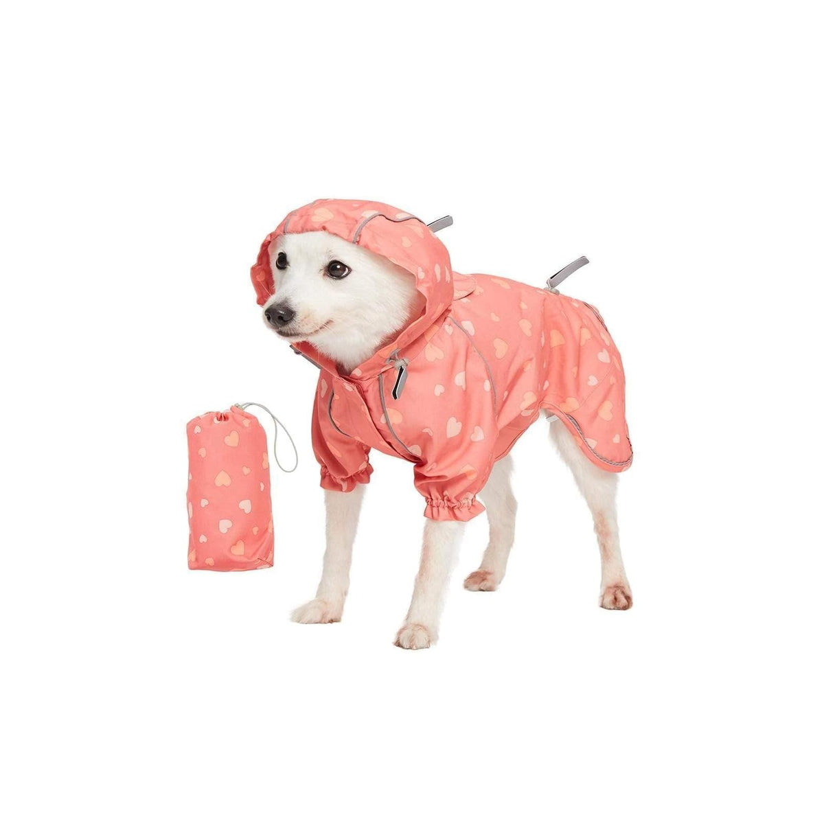 Blueberry Pet Pet Apparel