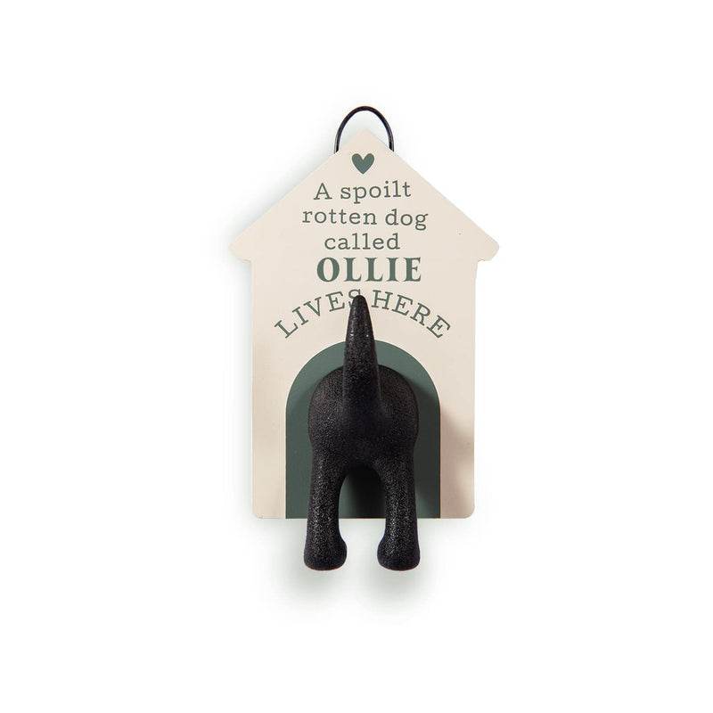 History & Heraldry Personalised Dog Lead Hook (Ollie)