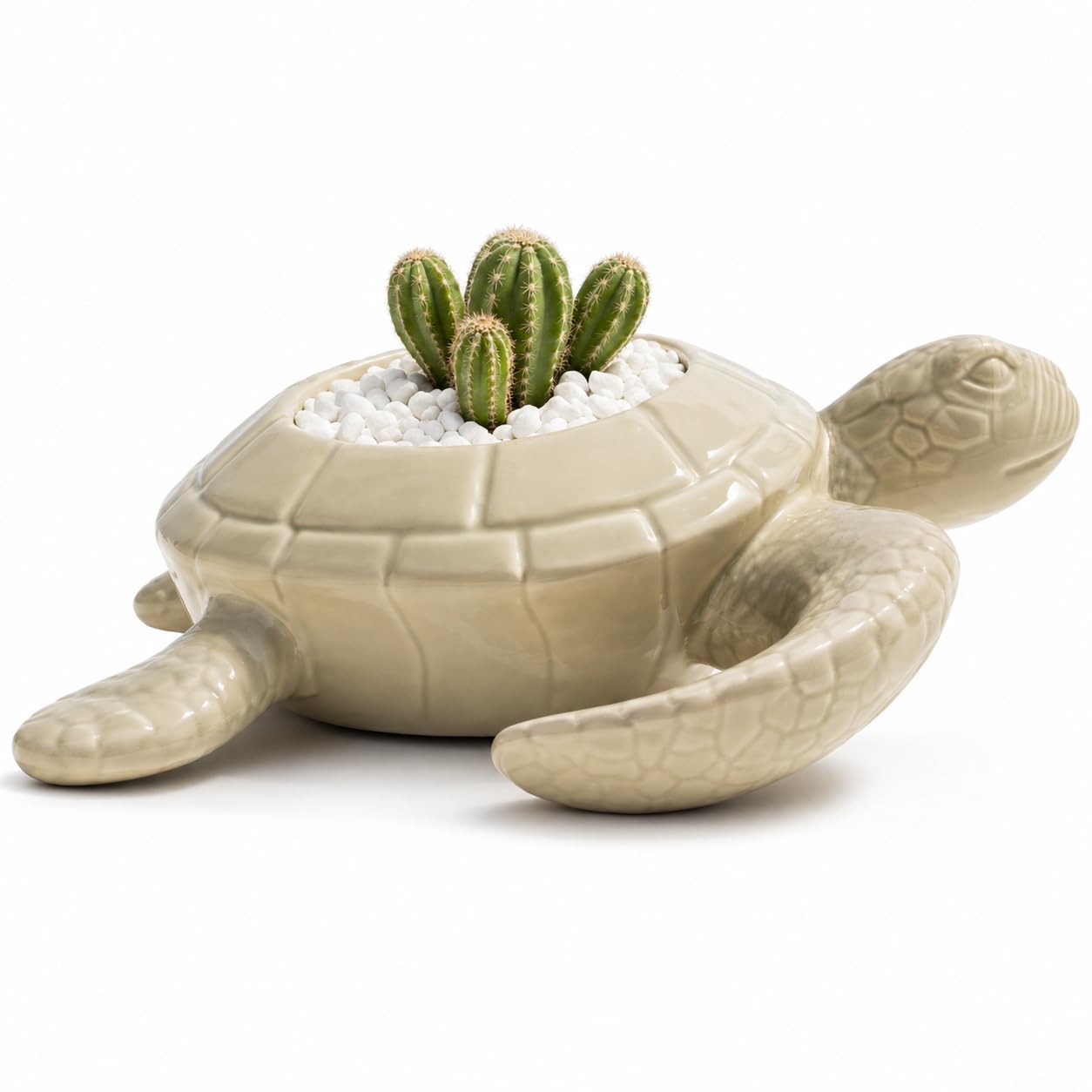 Comfy Hour 9" Ceramic Turtle Succulent Planter Flower Bud Pot Decorative Vase Small Plant Container, Palegreen