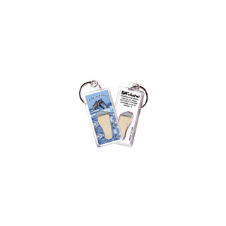 FootWhere Keychain, Small, Ds102 - Dolphins