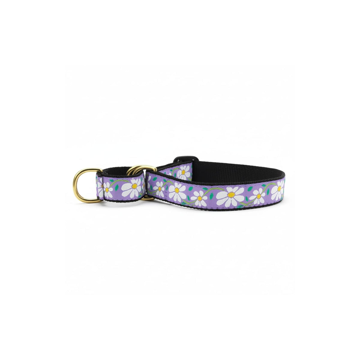 Up Country Animal Collar