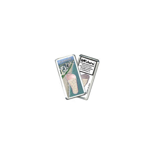 FootWhere Decorative Magnet