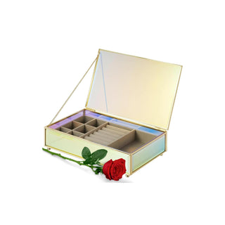 Moosy Life Jewelry Storage, Medium, multicolor