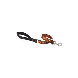 LupinePet Leash, 1" wide; 2-ft long, Shadow Hunter
