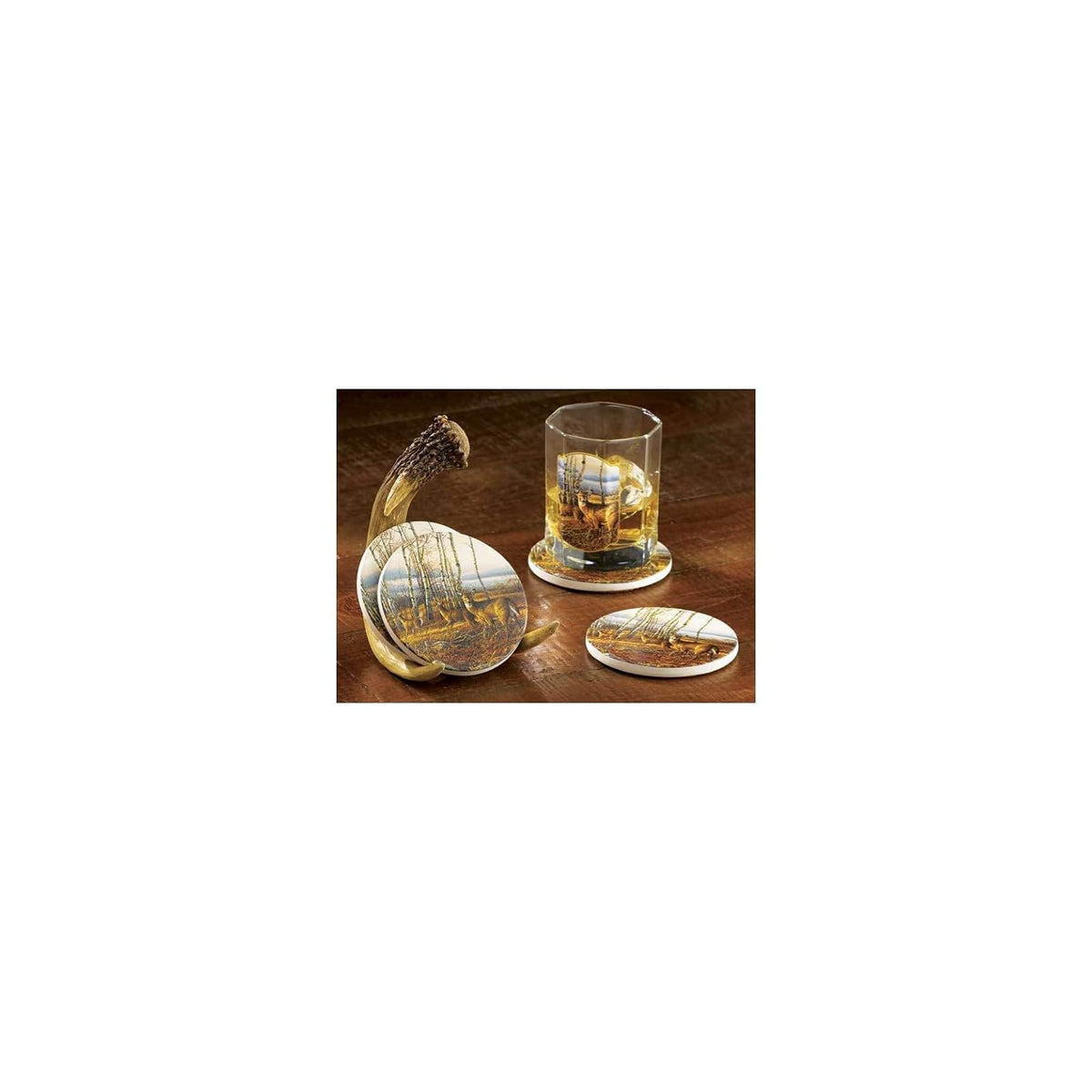 Wild Wings Drink Coaster, 4 inches