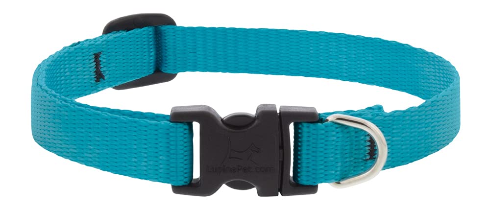 Lupine Pet Small Dog Collar 1/2" Wide Aqua adjusts 10-16" Long