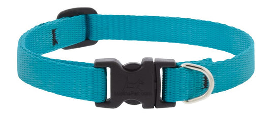 Lupine Pet Small Dog Collar 1/2" Wide Aqua adjusts 10-16" Long