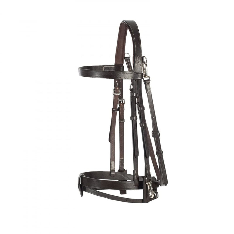 HORZE Sparta Hunter Bridle - Dark Brown - Cob