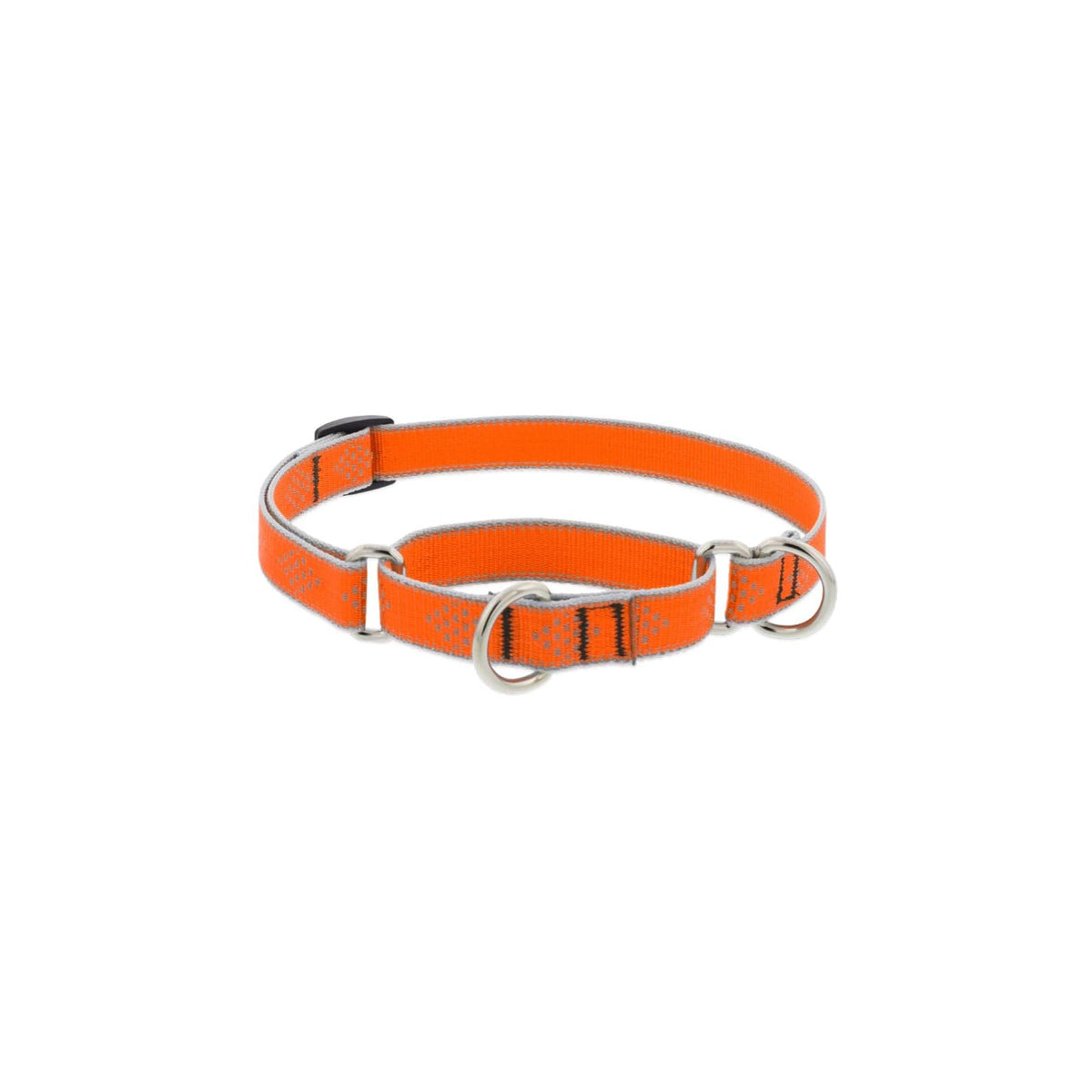 LupinePet Animal Collar