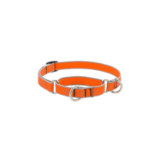 LupinePet Animal Collar