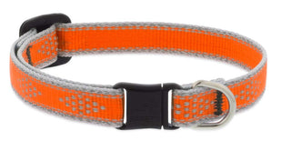 LupinePet Animal Collar